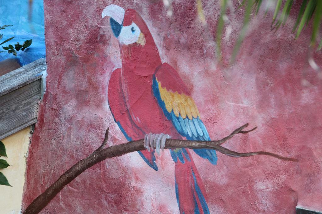 El Porvenir Ostello Los Llanos De Aridane Esterno foto