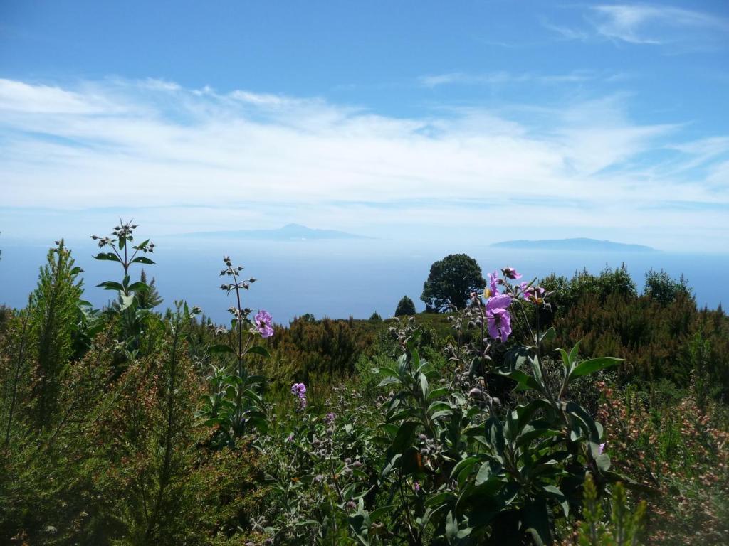 El Porvenir Ostello Los Llanos De Aridane Esterno foto