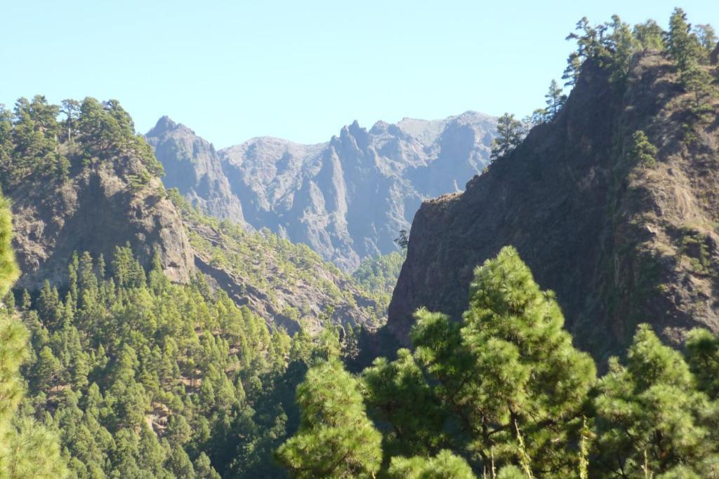 El Porvenir Ostello Los Llanos De Aridane Esterno foto