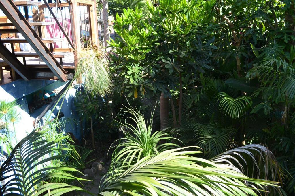 El Porvenir Ostello Los Llanos De Aridane Esterno foto